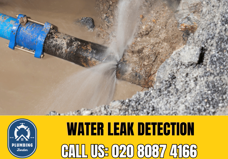 leak detection Bayswater